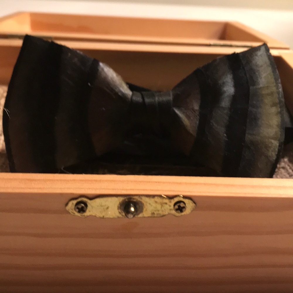 Brackish Bow Tie